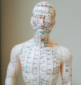 A doll defining acupuncture points